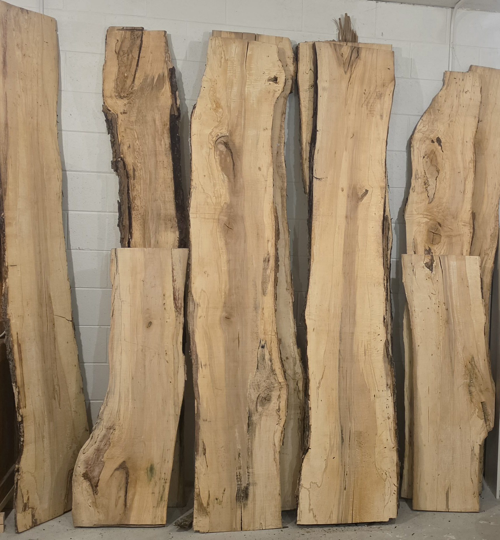 Spalting and live edge detail on the 2 inches rough thick maple slab