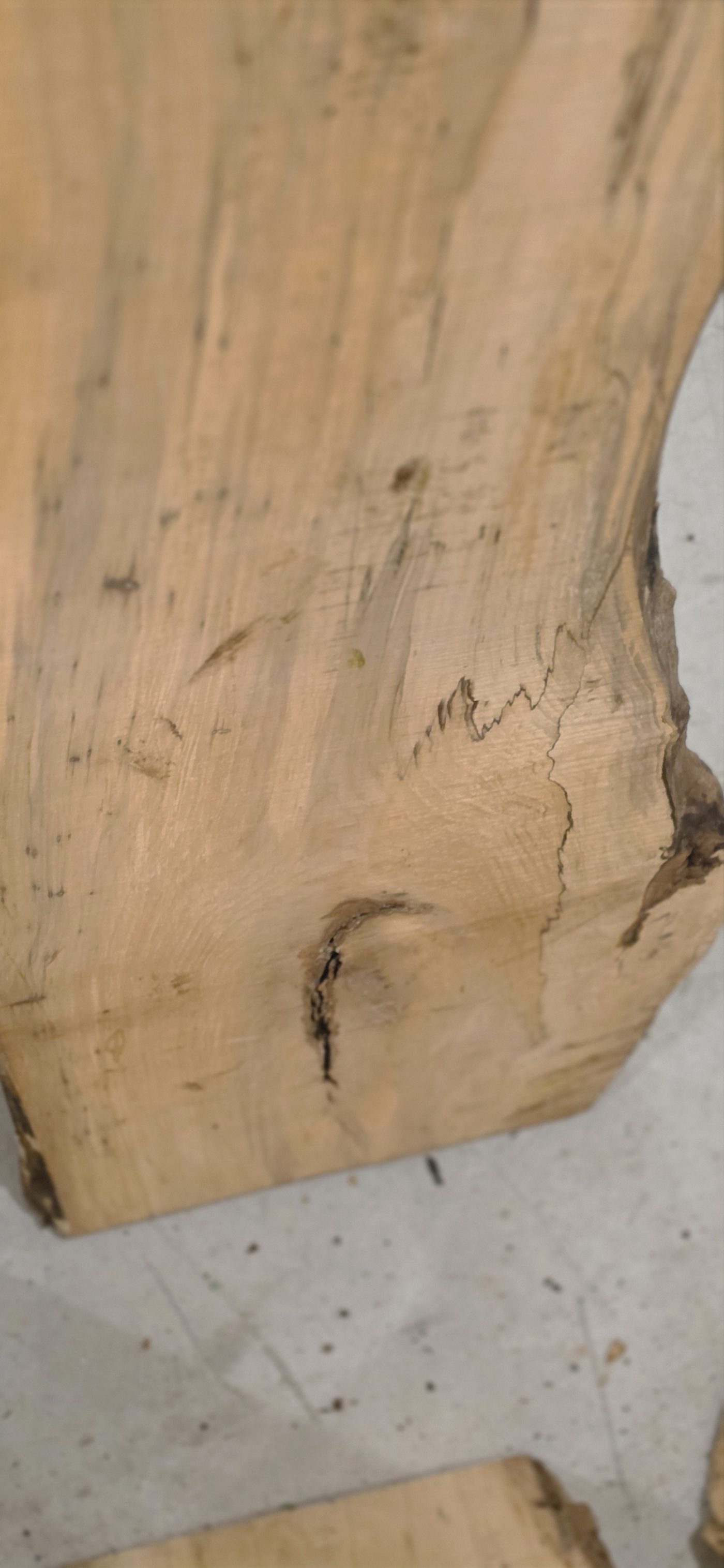 Spalting and live edge detail on the 1 inch rough thick maple slab
